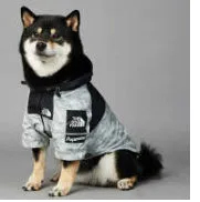 Light green windproof rainproof large dog raincoat in polyester with adjustable fit for sizes S to 5XL