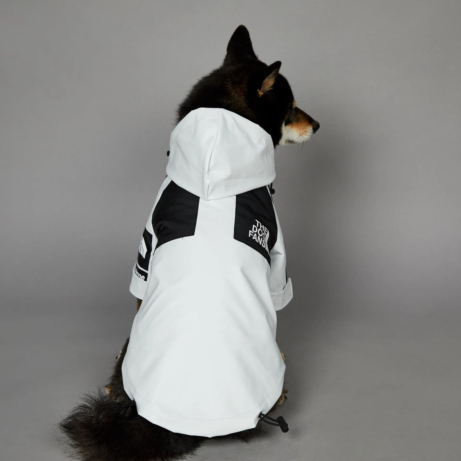 Light green windproof rainproof large dog raincoat in polyester with adjustable fit for sizes S to 5XL