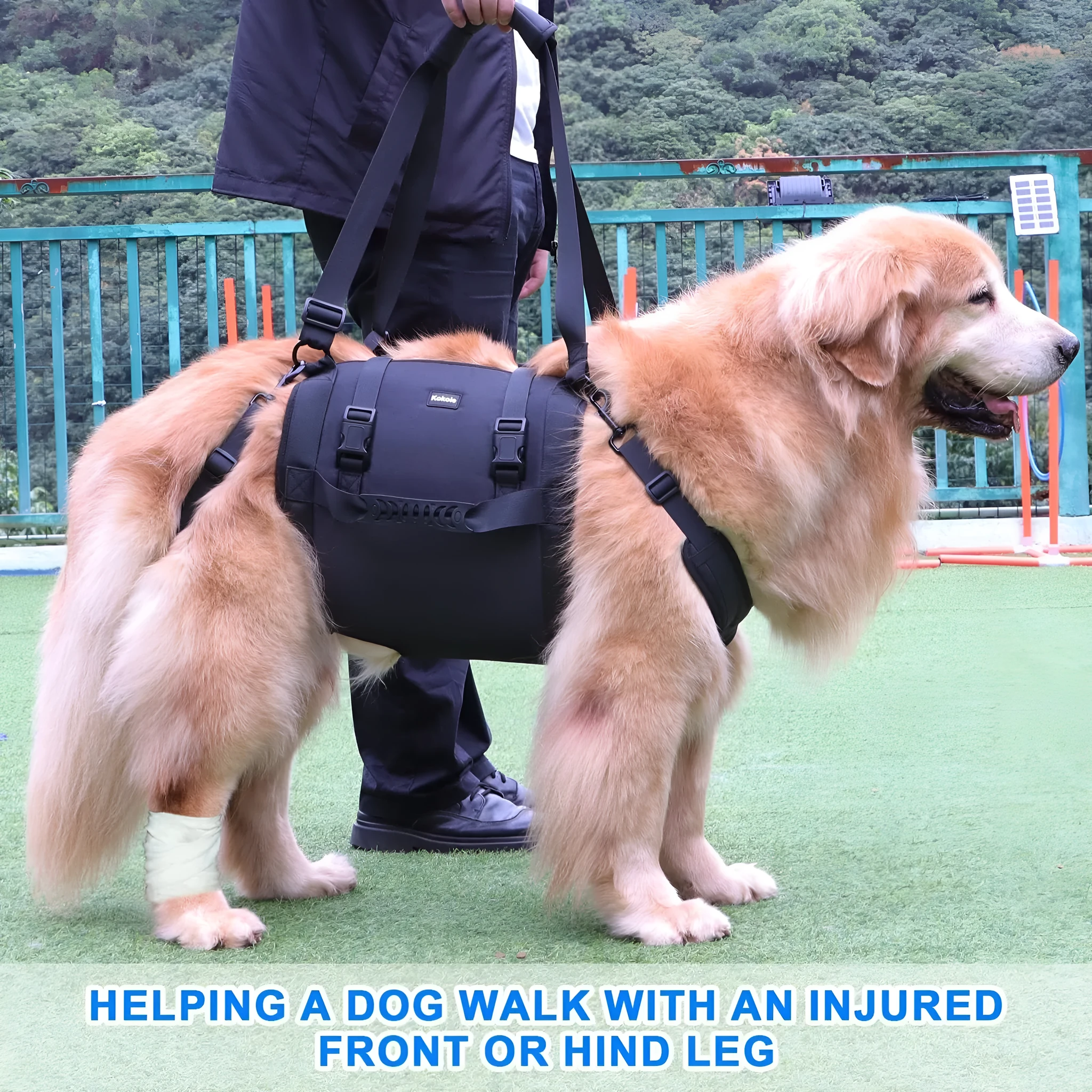 Black Oxford cloth dog harness with leg support design for rehabilitation and outdoor control