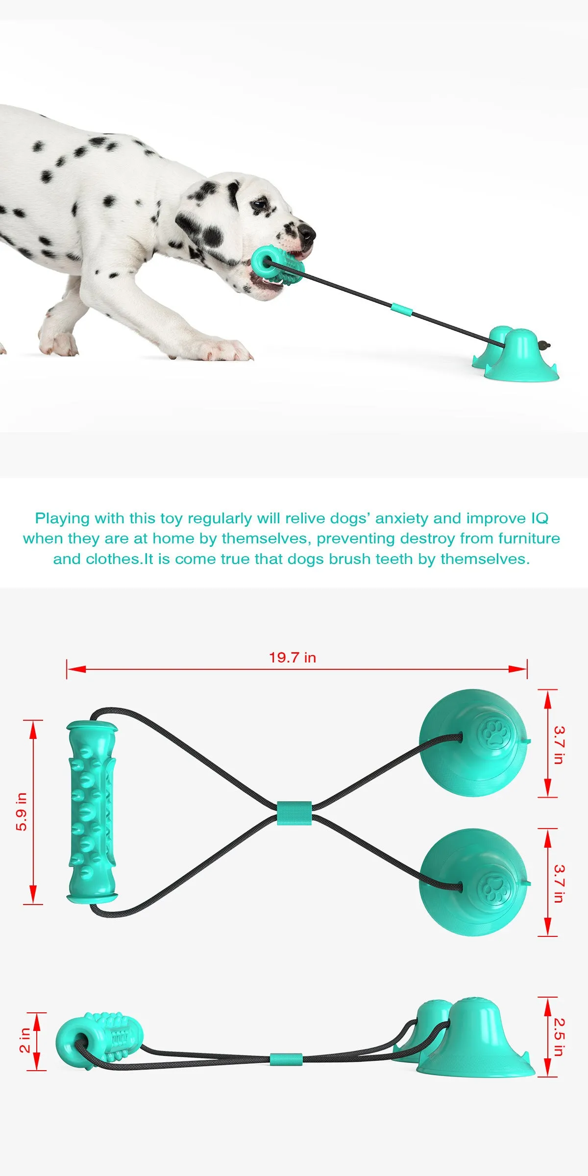Double suction cup pull dog toy in Lake Blue made from hard-wearing plastic on a tiled floor