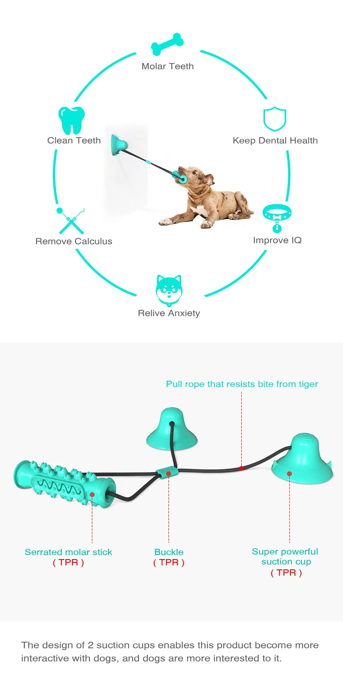 Double suction cup pull dog toy in Lake Blue made from hard-wearing plastic on a tiled floor