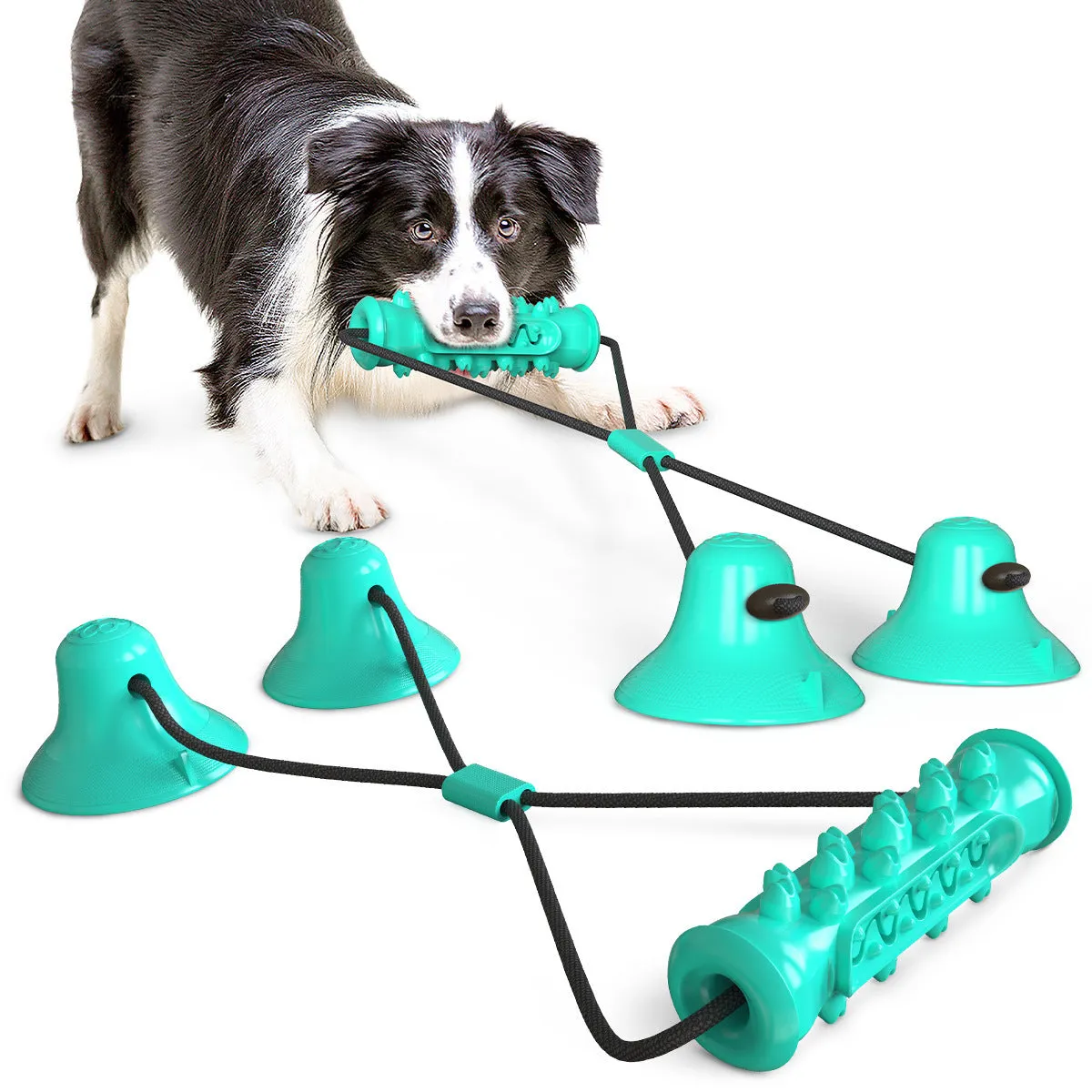 Double suction cup pull dog toy in Lake Blue made from hard-wearing plastic on a tiled floor