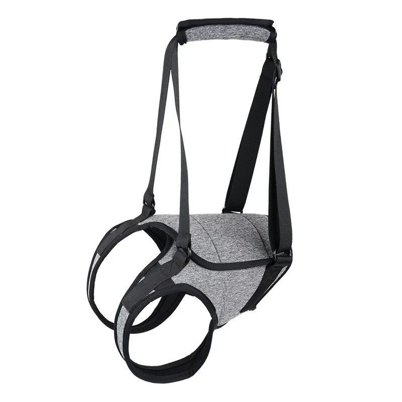 Grey neoprene dog rear leg recovery belt with adjustable waist and thigh straps shown on size chart