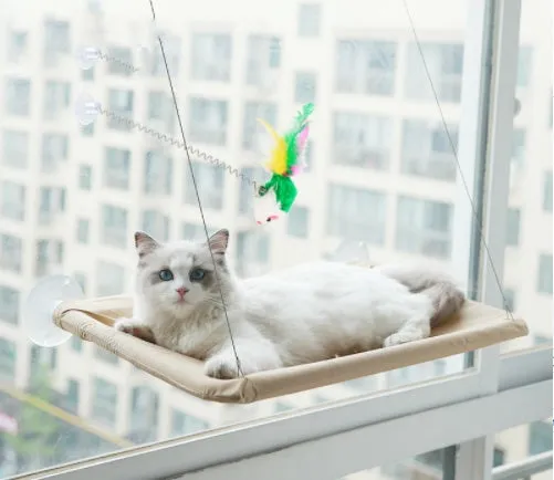 Blue cat hammock with suction cups attached to a window, featuring breathable fabric and metal frame