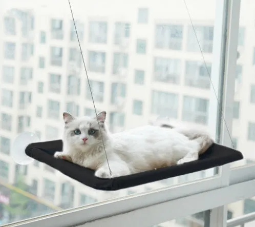 Blue cat hammock with suction cups attached to a window, featuring breathable fabric and metal frame