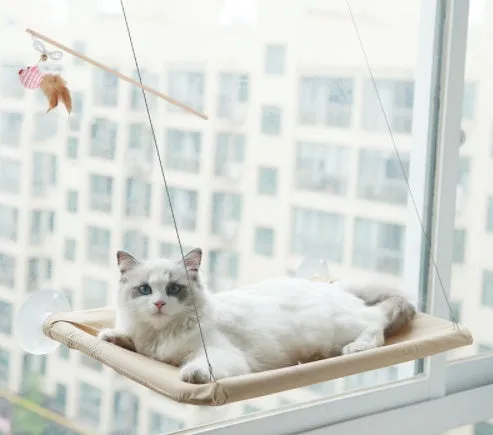 Blue cat hammock with suction cups attached to a window, featuring breathable fabric and metal frame