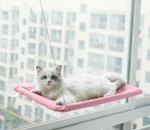 Blue cat hammock with suction cups attached to a window, featuring breathable fabric and metal frame