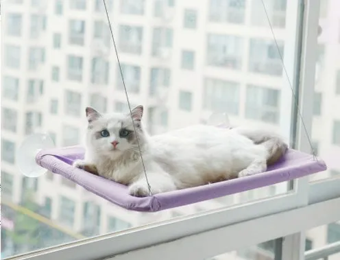 Blue cat hammock with suction cups attached to a window, featuring breathable fabric and metal frame