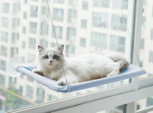 Blue cat hammock with suction cups attached to a window, featuring breathable fabric and metal frame