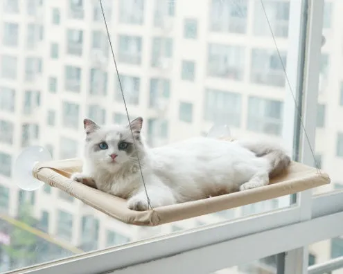 Blue cat hammock with suction cups attached to a window, featuring breathable fabric and metal frame