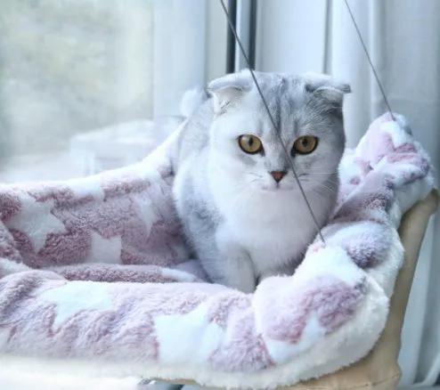 Blue cat hammock with suction cups attached to a window, featuring breathable fabric and metal frame