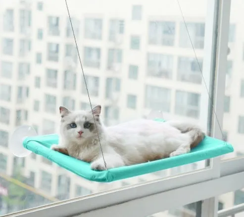 Blue cat hammock with suction cups attached to a window, featuring breathable fabric and metal frame