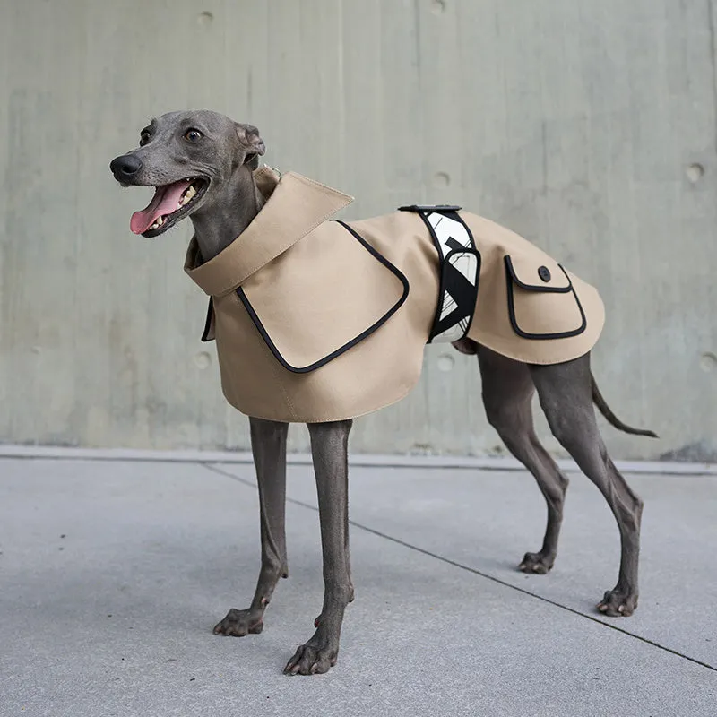 Camel Velcro dog windbreaker coat for spring and autumn, 100% cotton with polycool lining, XS to XXXL sizes