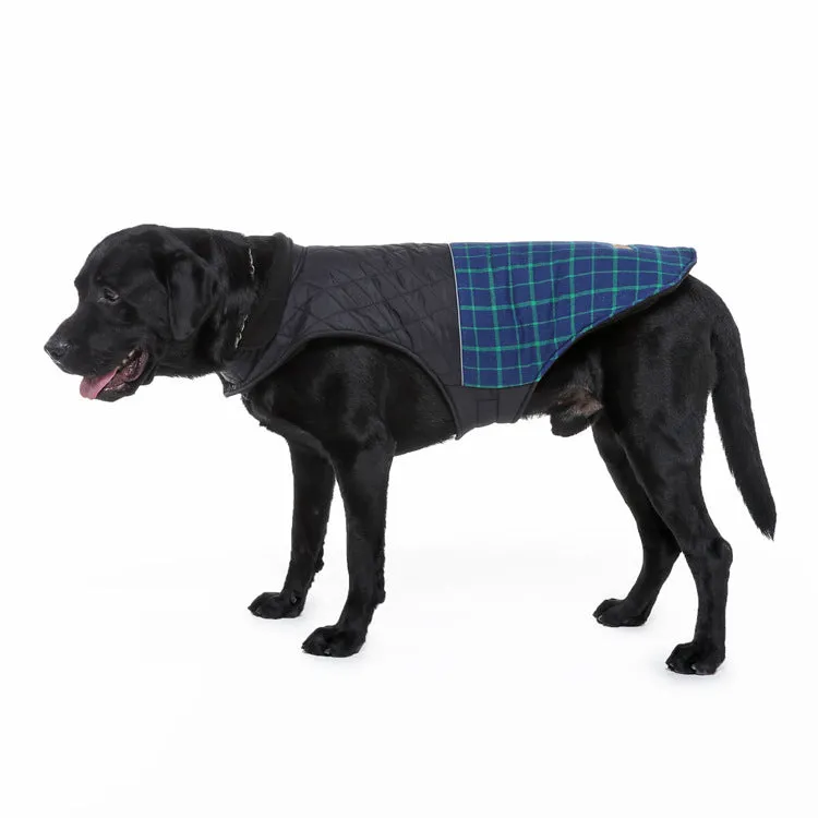 Reflective dog coat in blue-green with breathable mesh chest and alloy harness fasteners