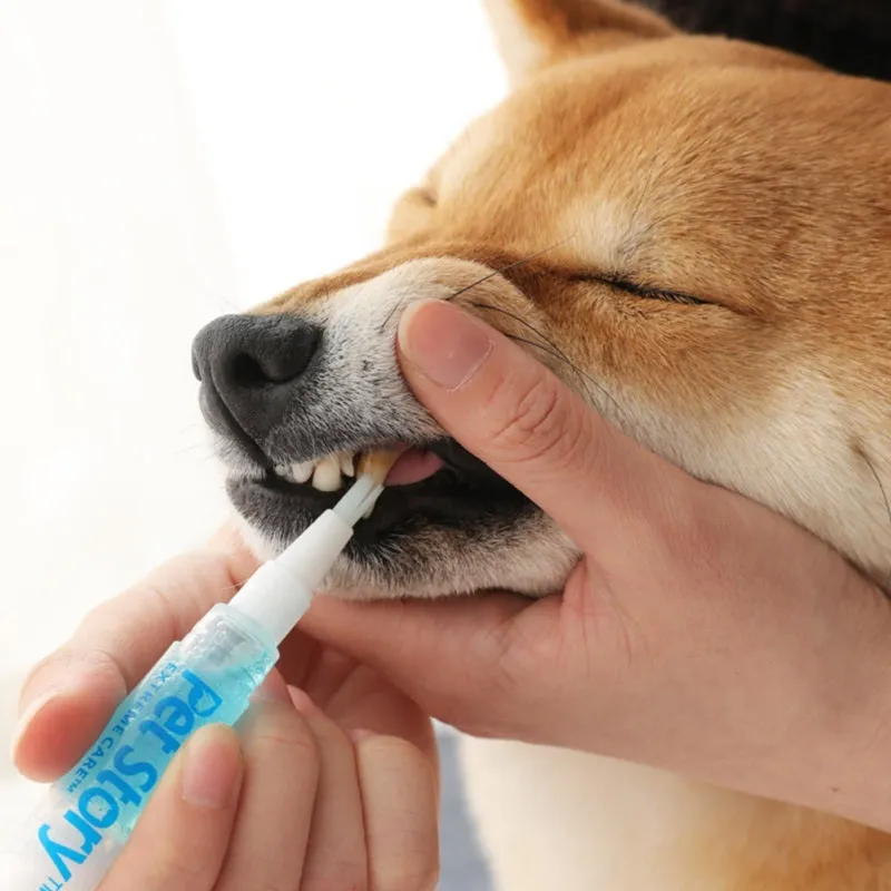 Pet tooth whitening pen kit with two pens, soft brush head, and non-slip handle for dog and cat oral care