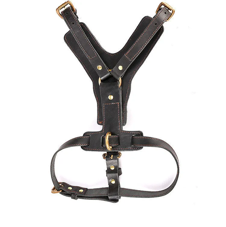 Black leather dog chest harness set with automatic traction rope for walking large breeds