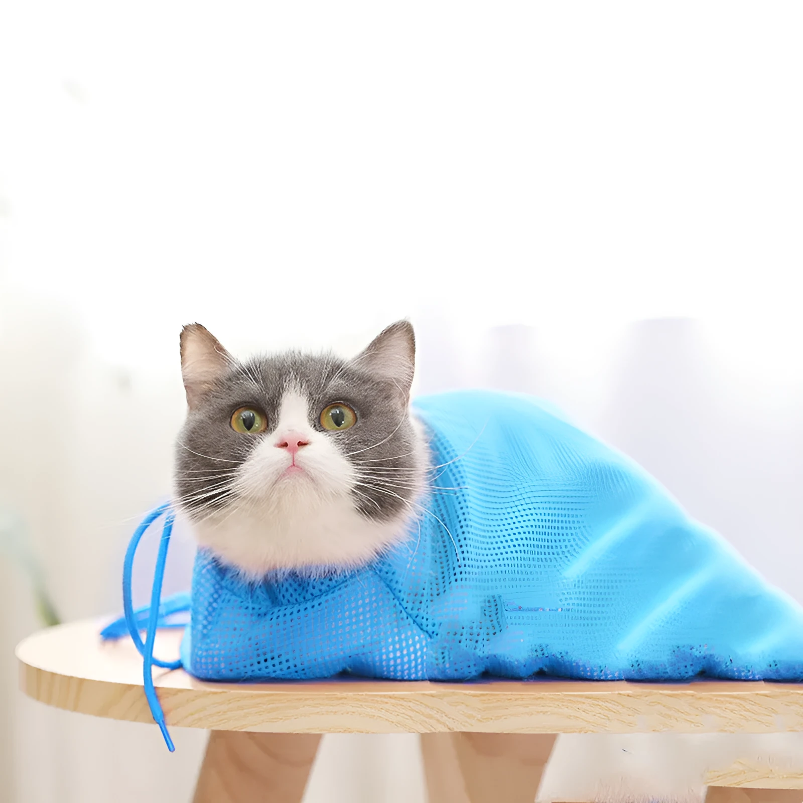 Blue cat bath bag for washing and grooming with secure restraint design