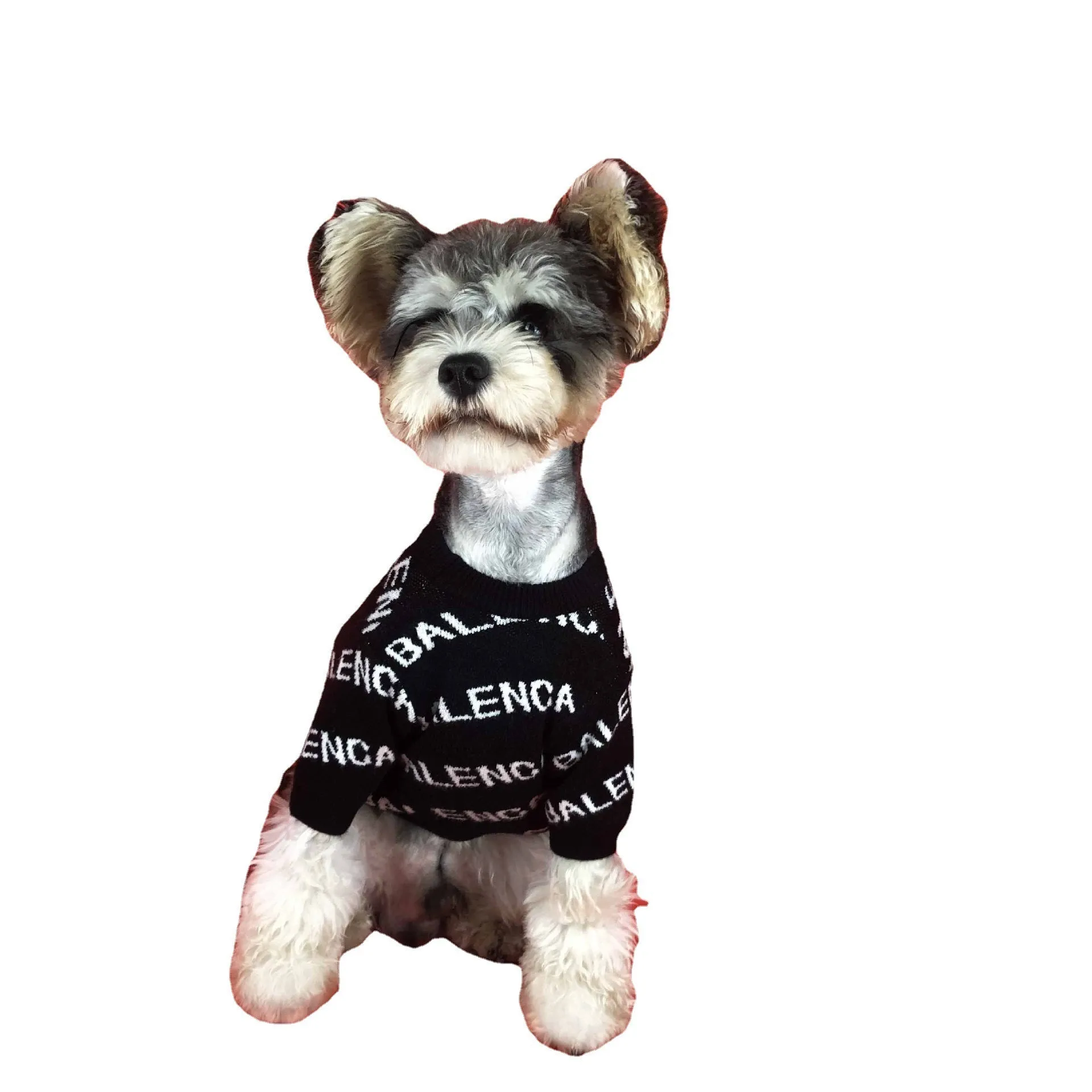 Black acrylic knit dog pullover sweater for small to large dogs, shown on a Schnauzer