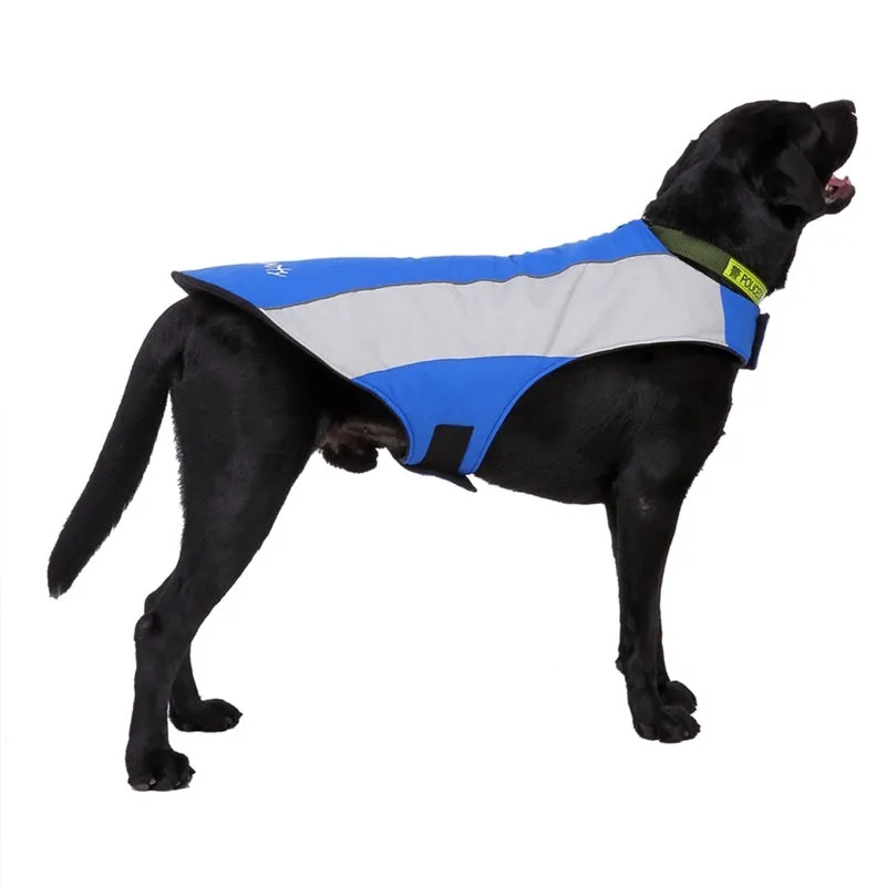Reflective polyester dog coat in blue for large breeds, shown on a dog with safety strips visible