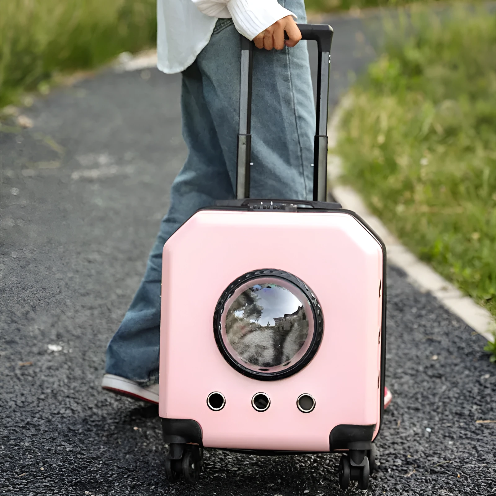 Hard-shell PVC pet flight trolley case in pink colour with retractable handle and wheels.