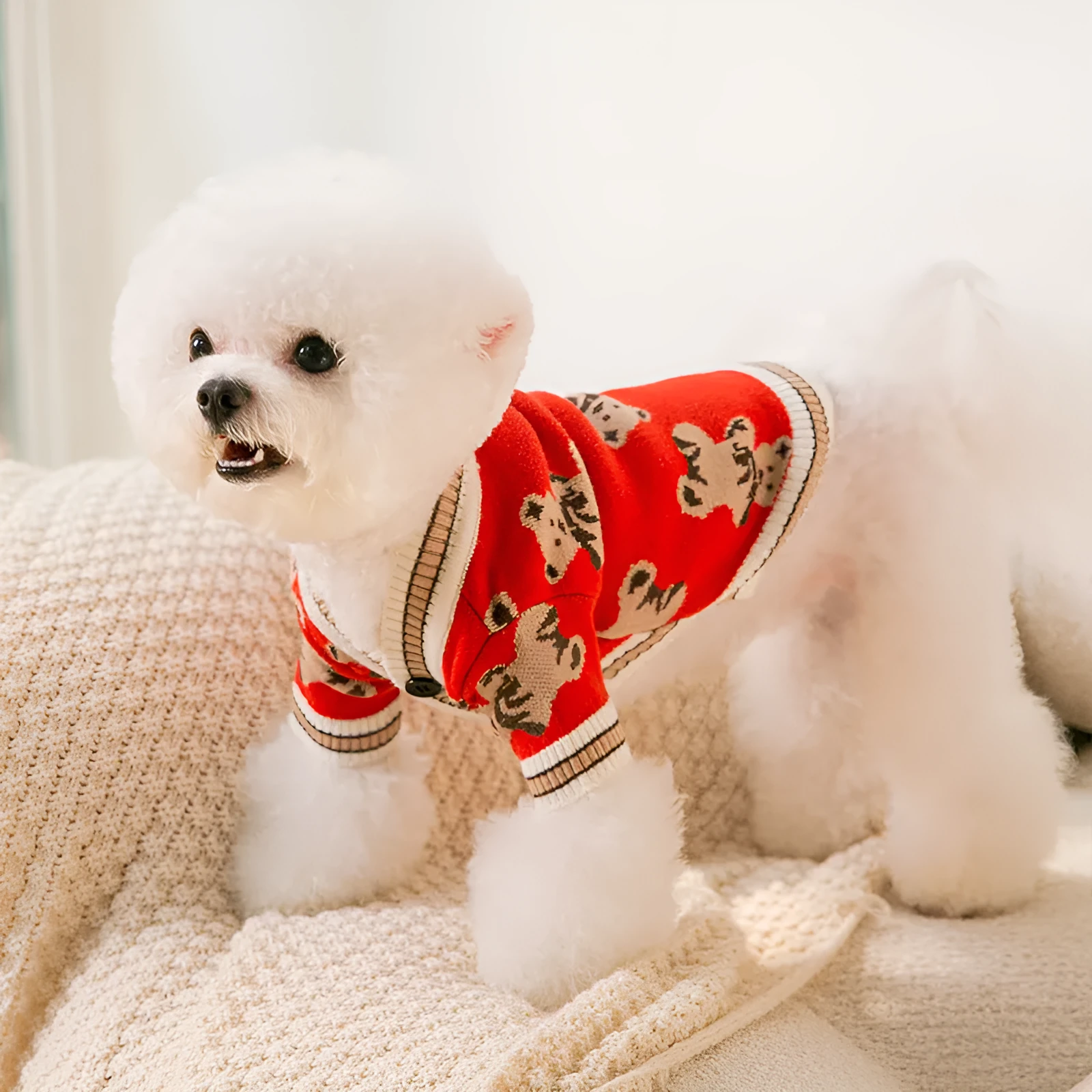 Pet dog simple warm knitted sweater in wrapped heart yarn, showing size options from XS to XL and colours Beige Bear Black Blue Bear Grey Red Bear
