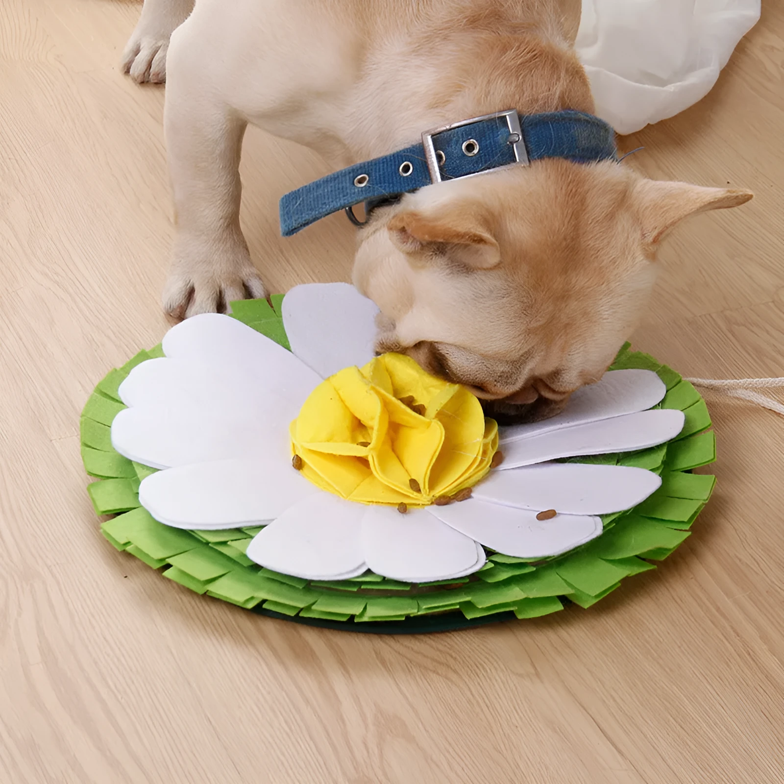 Dog sniffing pad toy in photo colour plush fabric with hidden treat folds