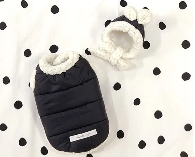 Cotton-padded pet coat in black with casual style for small dogs and cats