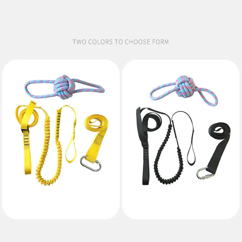 Black and yellow polyester dog training belt set for obedience sessions