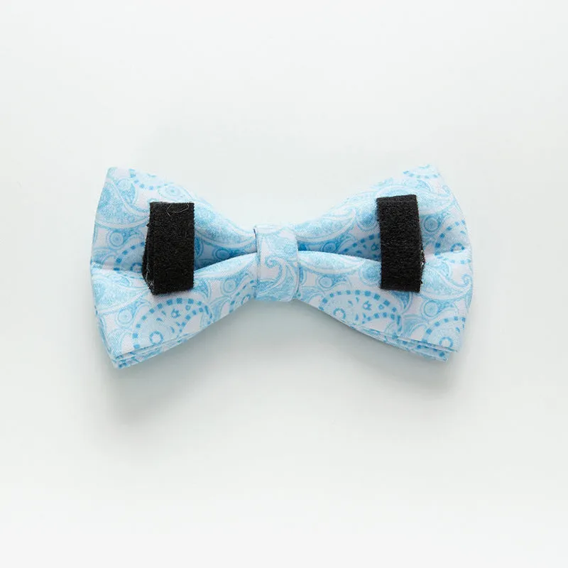 Paisley polyester dog collar with zinc alloy buckle and lettering on a white background.