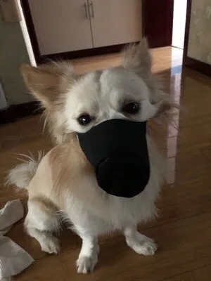 Cloth pet mouth cover in size M for dogs, adjustable straps, neutral colour, for outdoor use