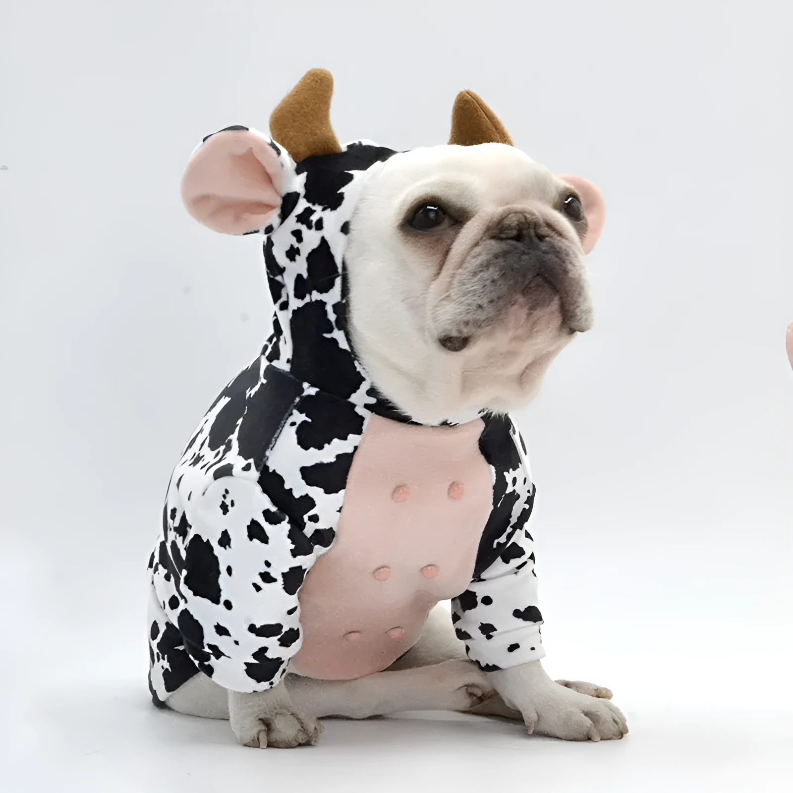 Black and white cow-shaped velvet dog costume on a pet, creative outfit with three size options S M L