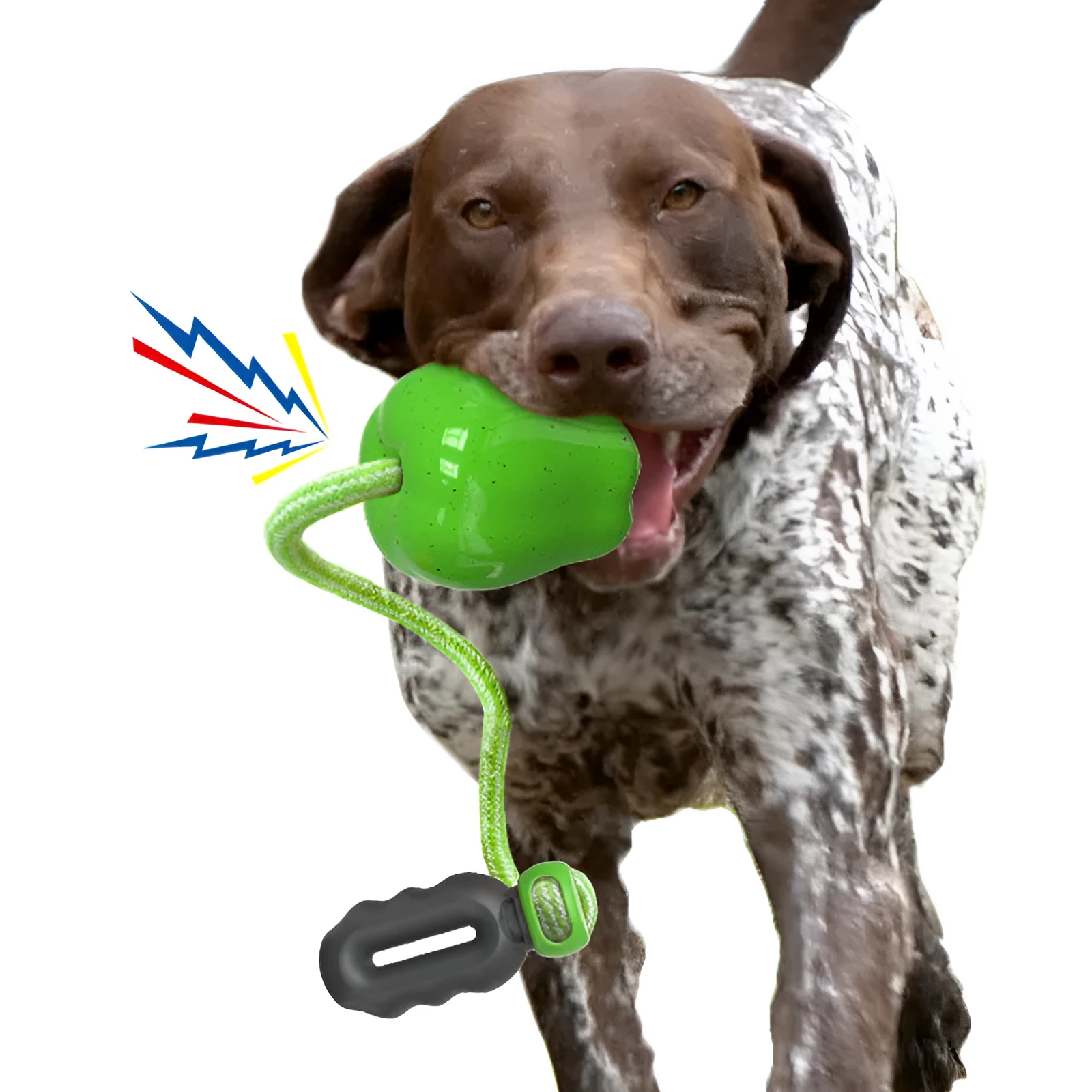 Green and red plastic Apple-shaped dog toy with a slot for dog food and a squeaker inside.