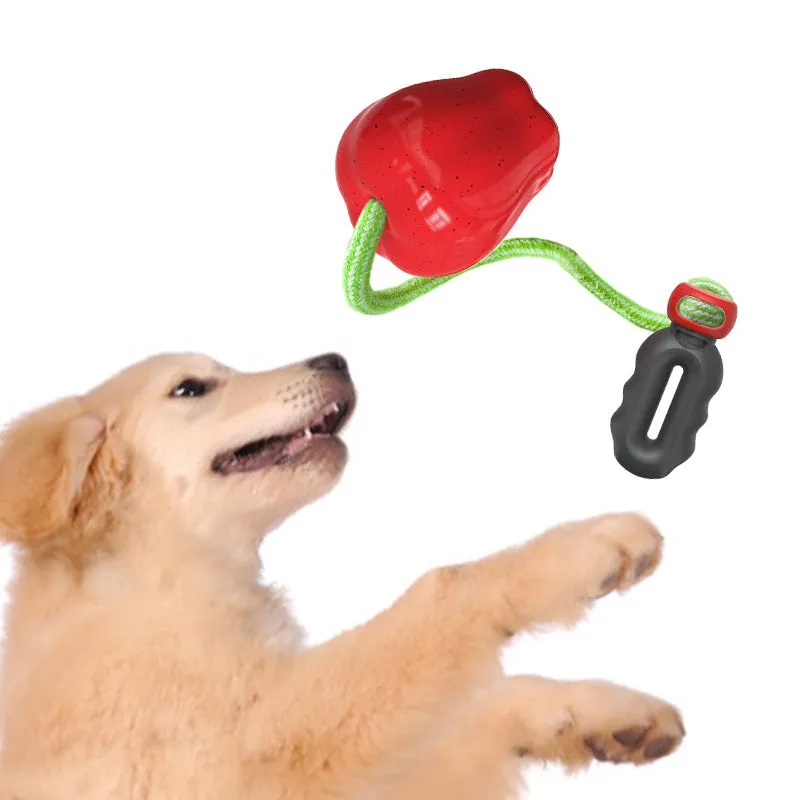 Green and red plastic Apple-shaped dog toy with a slot for dog food and a squeaker inside.