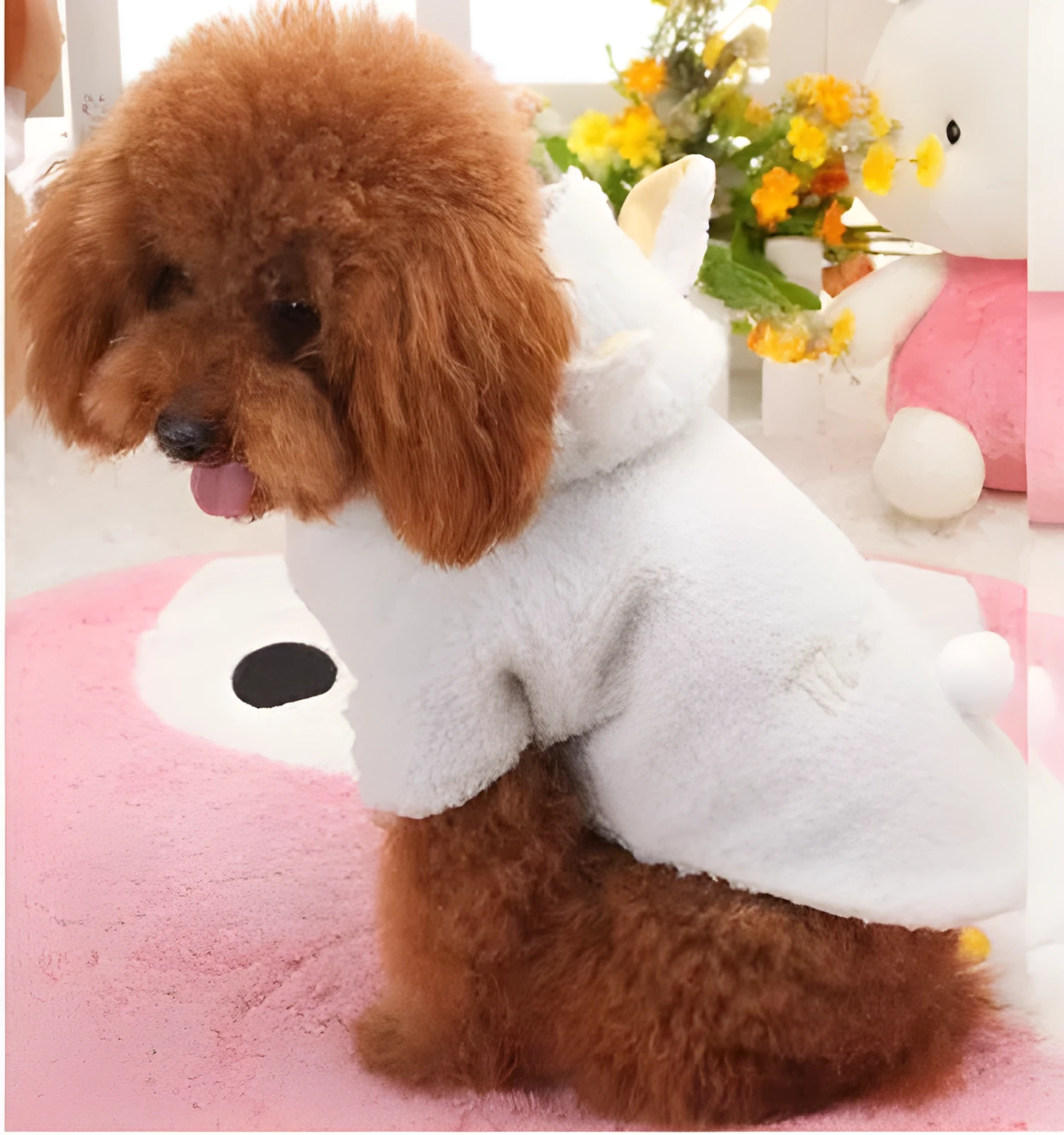 White pet sheep costume down jacket style for dogs on white background