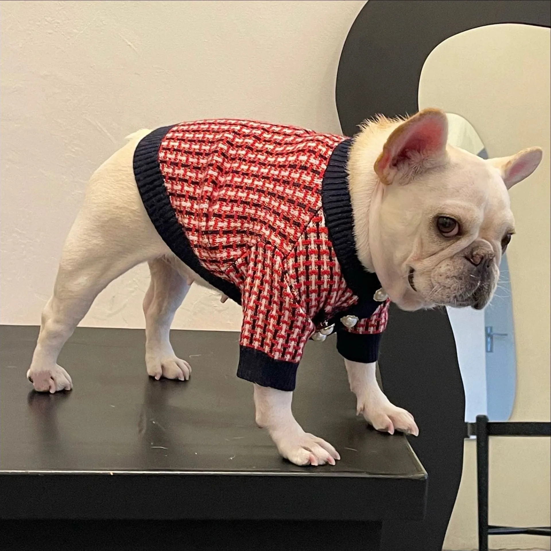 Red wool winter dog sweater with cute print for small and large dogs
