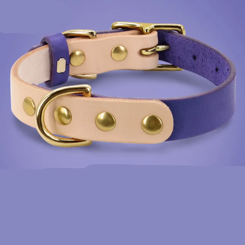 Leather cat collar in green with lettering plate on a small cat, adjustable 24-32cm neck size