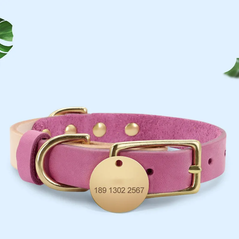 Leather cat collar in green with lettering plate on a small cat, adjustable 24-32cm neck size