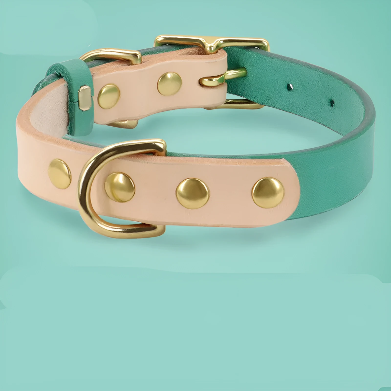 Leather cat collar in green with lettering plate on a small cat, adjustable 24-32cm neck size
