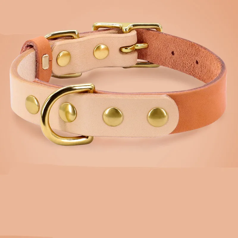 Leather cat collar in green with lettering plate on a small cat, adjustable 24-32cm neck size