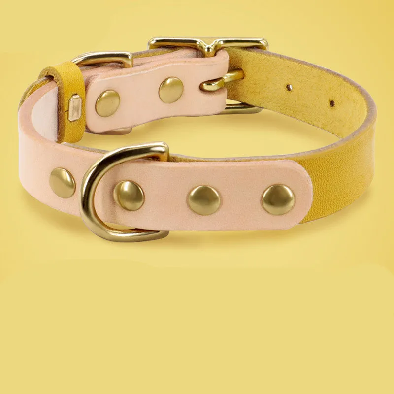 Leather cat collar in green with lettering plate on a small cat, adjustable 24-32cm neck size
