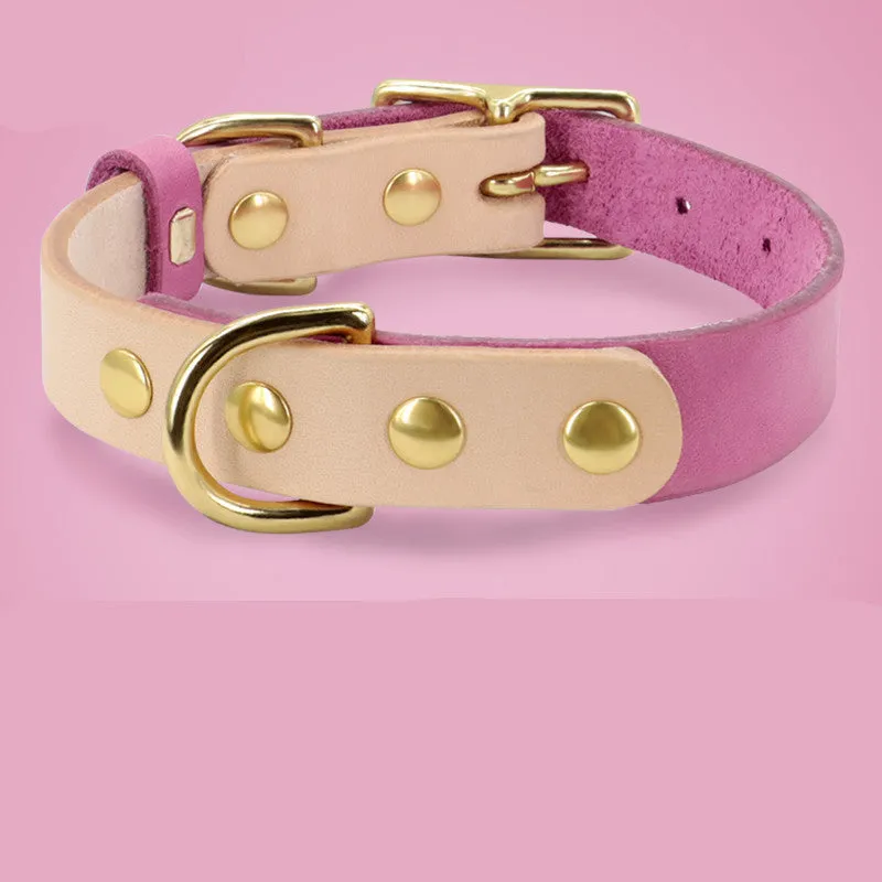 Leather cat collar in green with lettering plate on a small cat, adjustable 24-32cm neck size