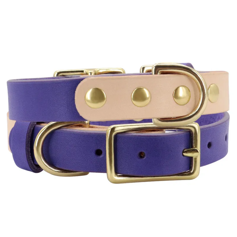 Leather cat collar in green with lettering plate on a small cat, adjustable 24-32cm neck size