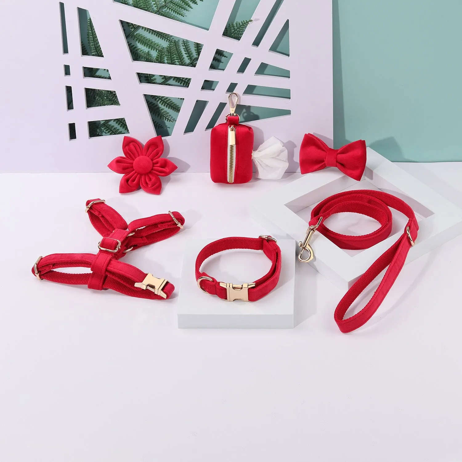 Soft velvet dog collar and leash set with chest strap, bow tie, and flower in assorted colours.