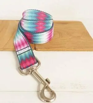 Pattern dog collar colour ribbon traction set in green polyester webbing on white background