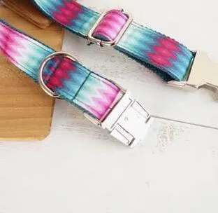 Pattern dog collar colour ribbon traction set in green polyester webbing on white background