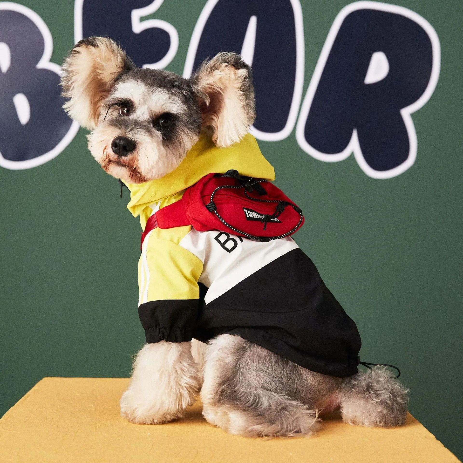 Dog wearing a waterproof polyester raincoat jacket in red, sized for small to large dogs