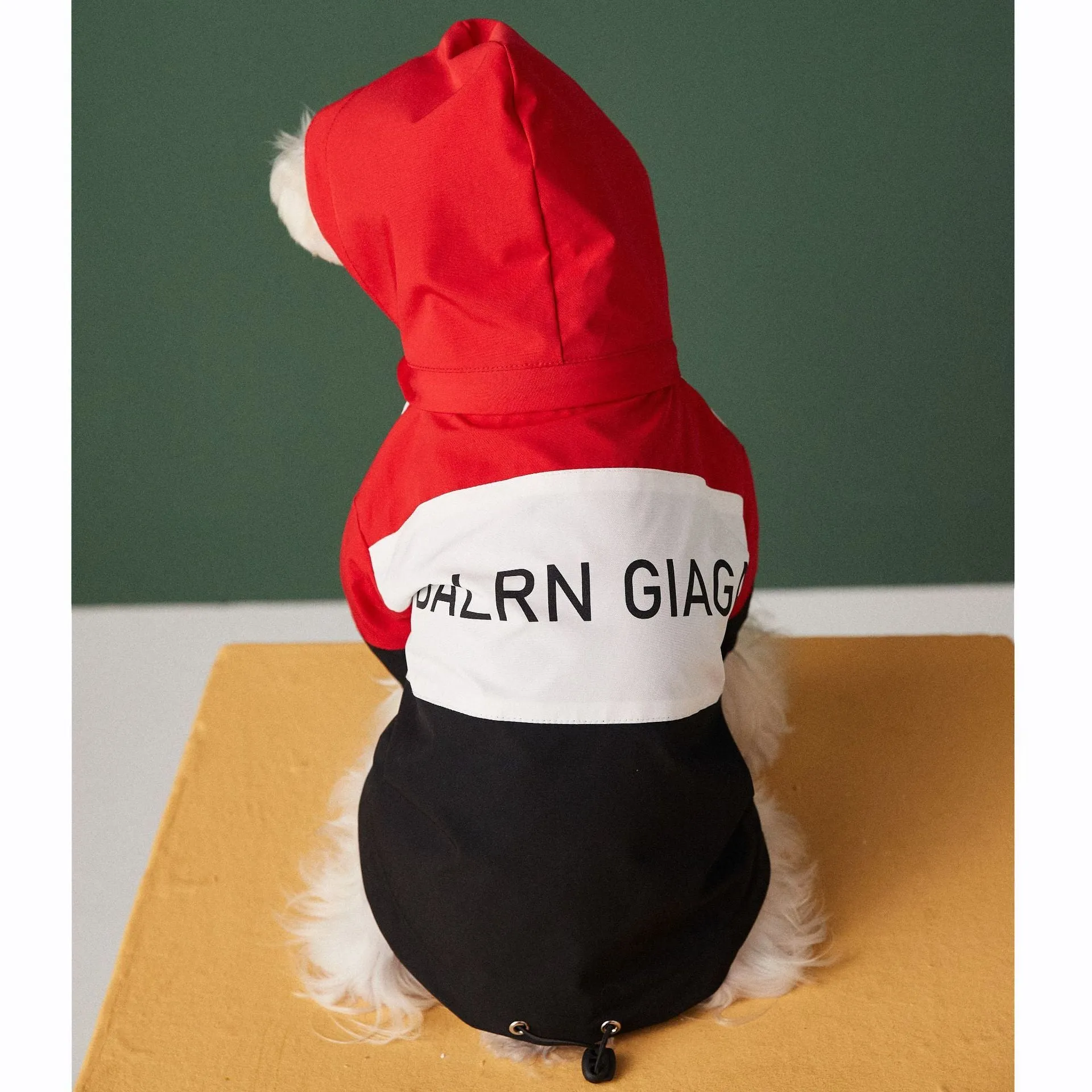 Dog wearing a waterproof polyester raincoat jacket in red, sized for small to large dogs