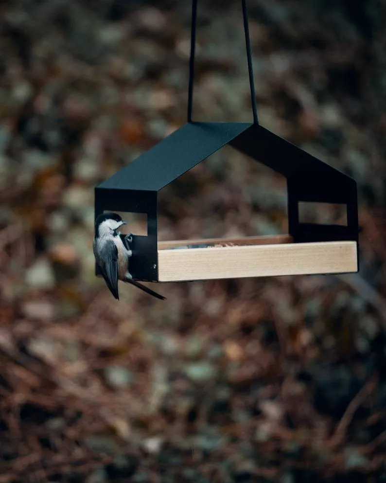 Black square geometry hanging bird feeder made from iron metal for outdoor garden decoration