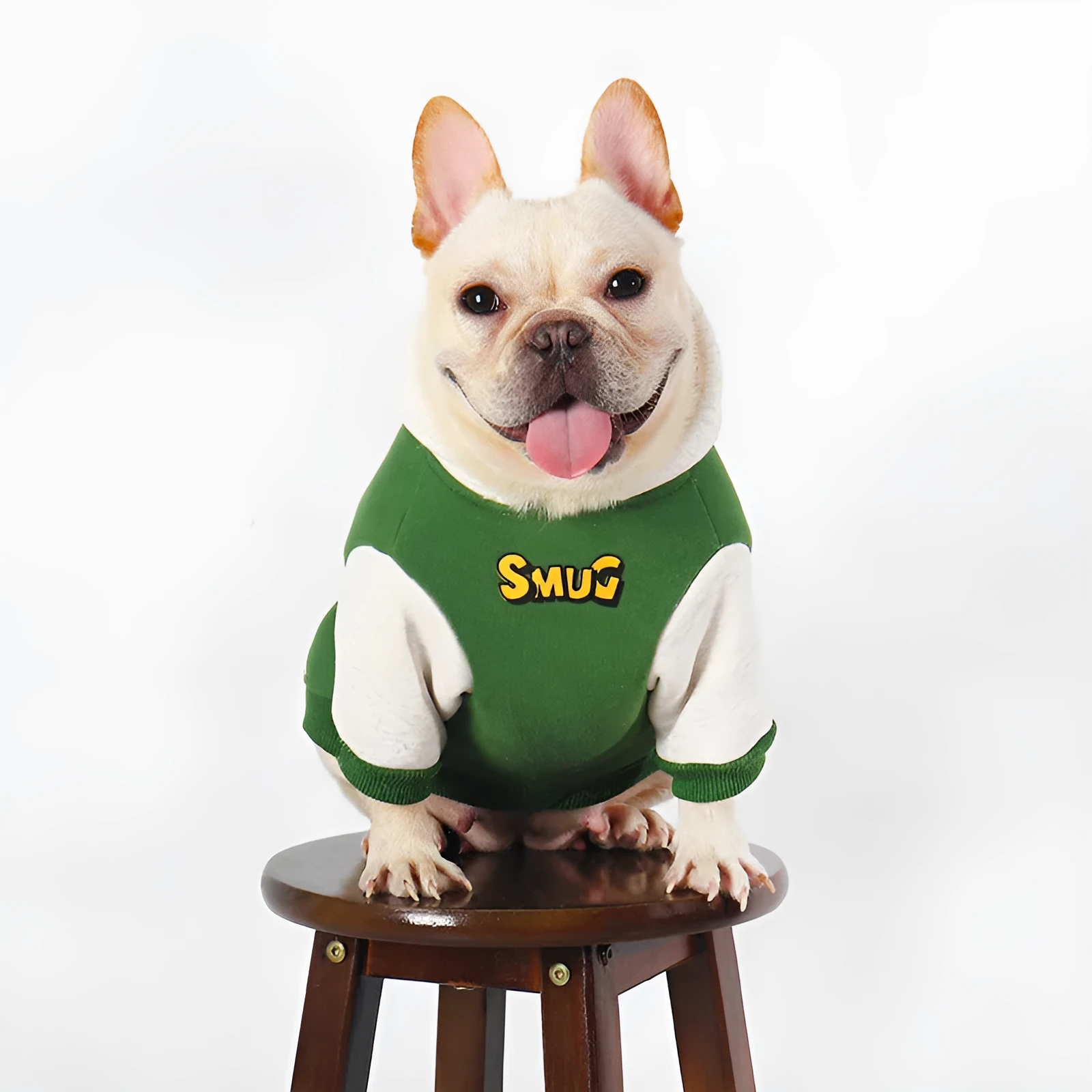 Green branded cotton dog jumper for medium to large dogs in autumn and winter.