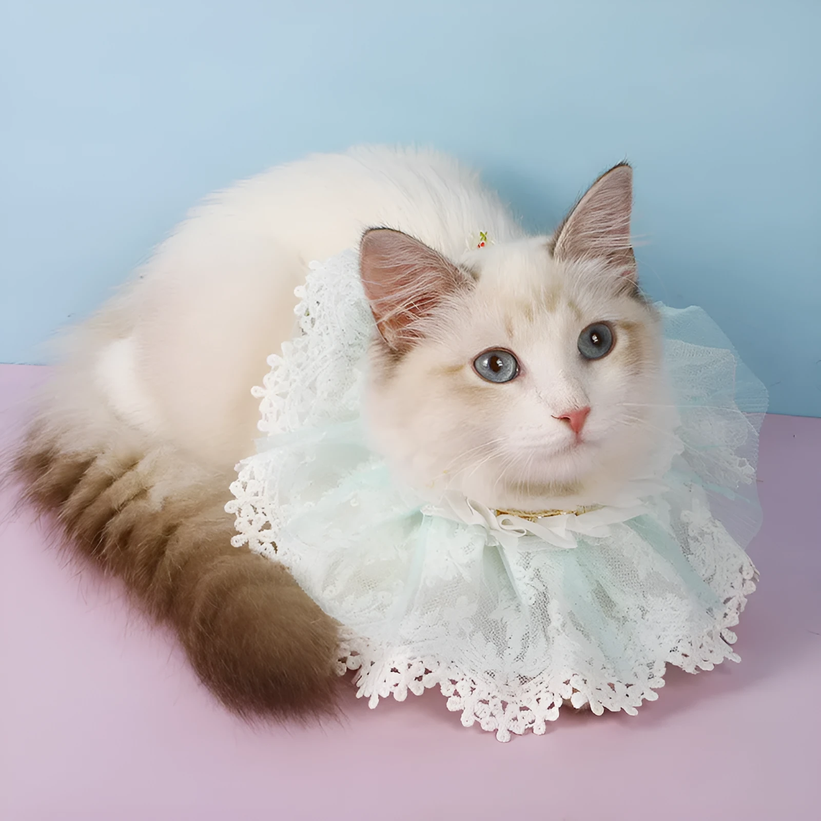 Lace gauze cat collar scarf bib in pink with embroidery for princess style accessory.